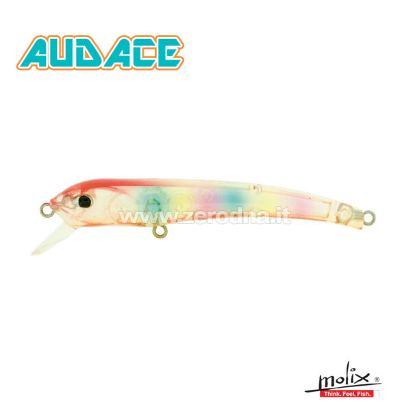 Molix Audace 65