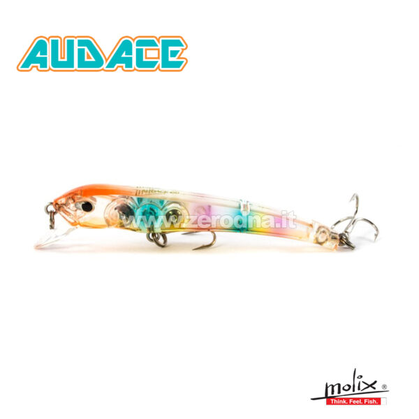 Molix Audace 65