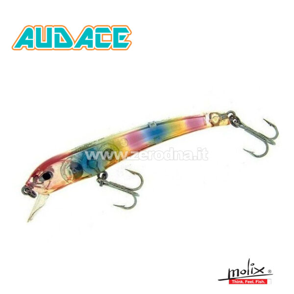 Molix Audace 65