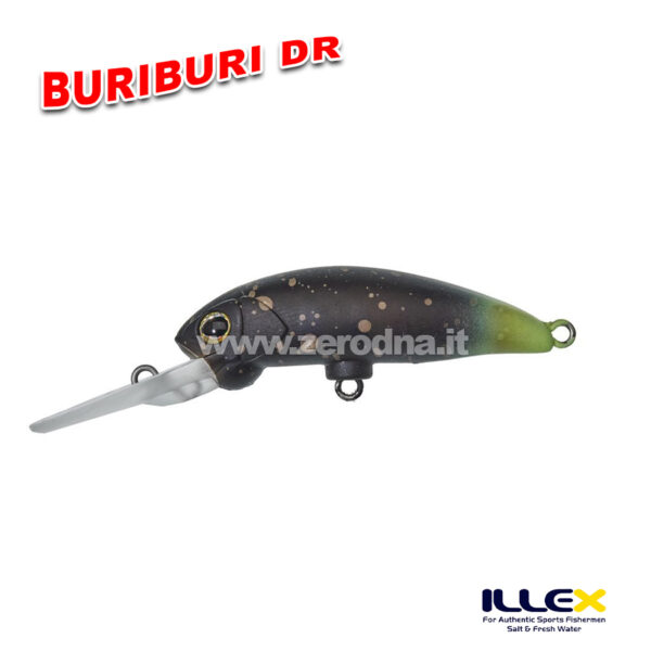 Illex BuriBuri