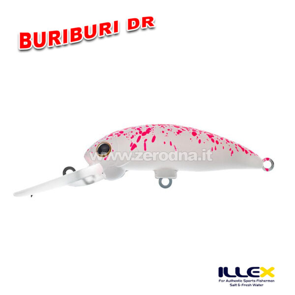 Illex BuriBuri