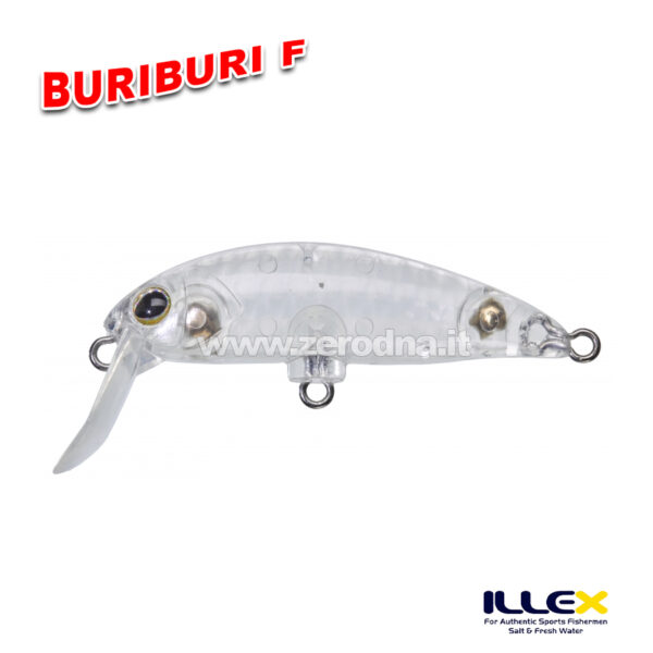 Illex BuriBuri