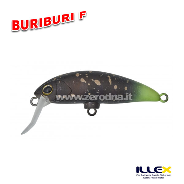 Illex BuriBuri