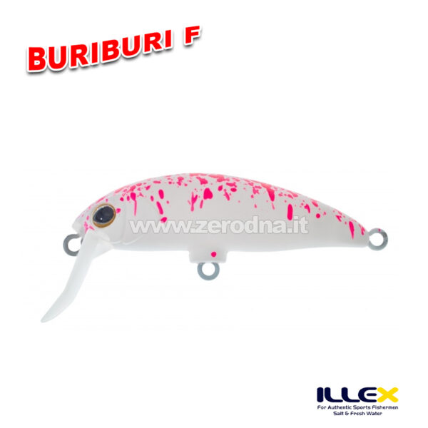 Illex BuriBuri