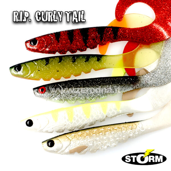 Storm Rip Curly Tail