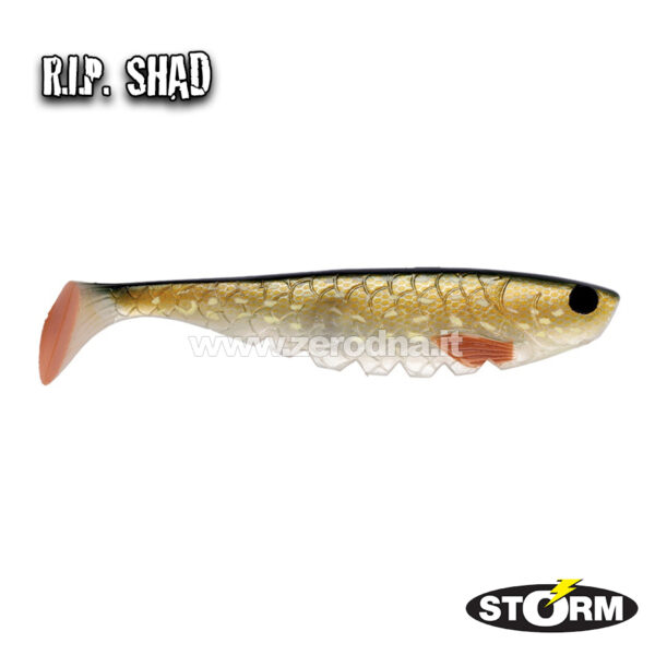 Storm Rip Shad