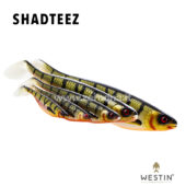 Westin Shad Teez