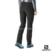 Salomon Wayfarer Straight Warm Pant W
