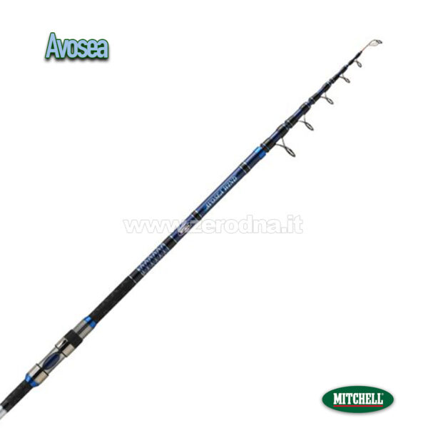 Mitchell Avosea Wind Surfcasting