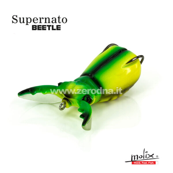 Molix Supernato Beetle