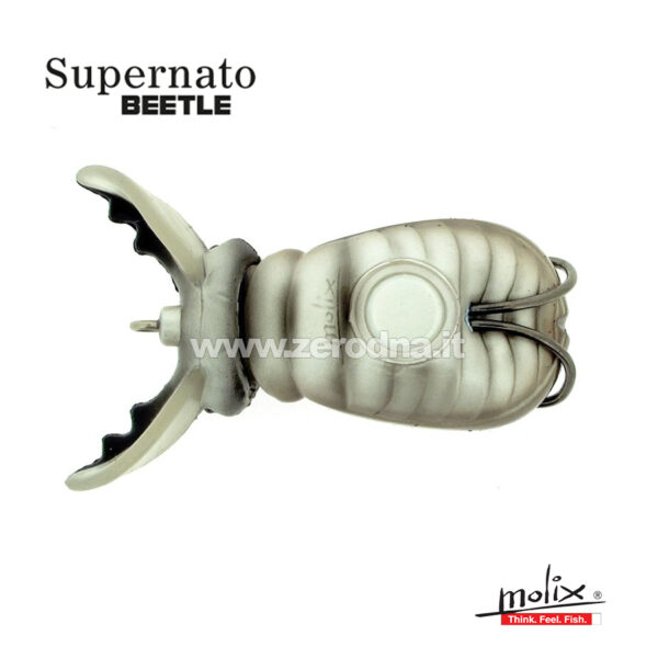 Molix Supernato Beetle