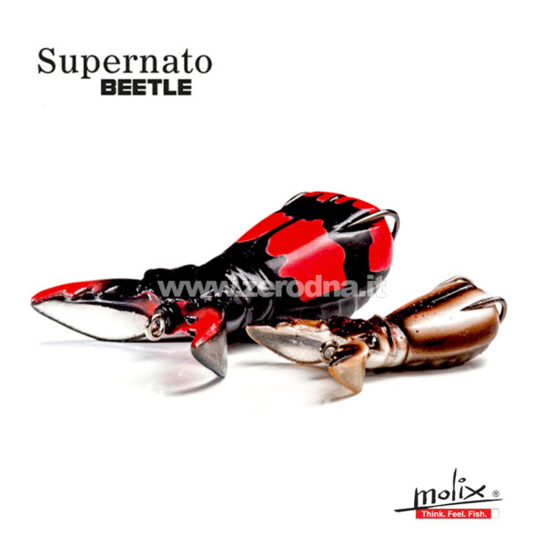 Molix Supernato Beetle