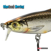 Live Target Blueback Herring