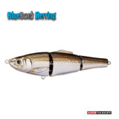 Live Target Blueback Herring