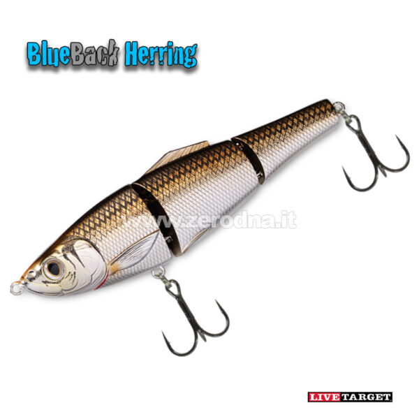 Live Target Blueback Herring