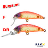 Illex BuriBuri