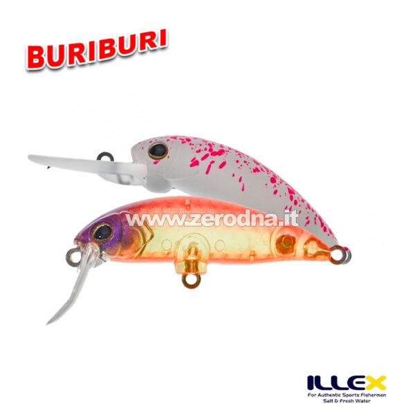 Illex BuriBuri