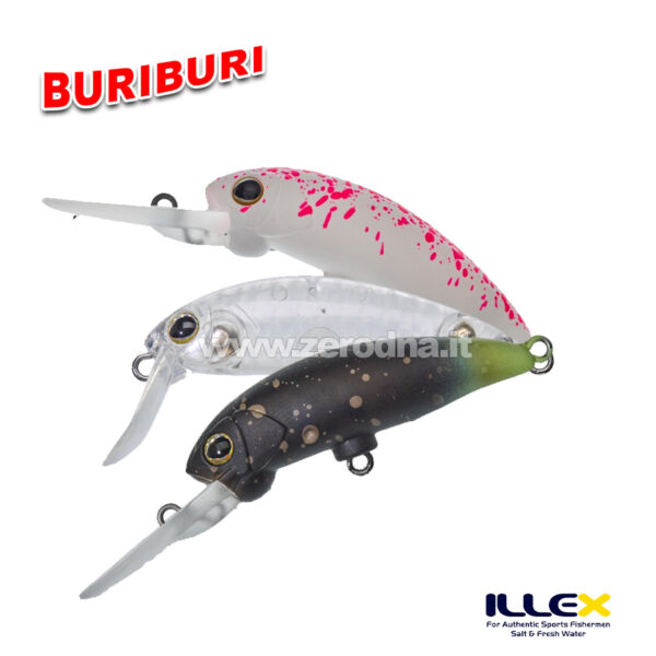 Illex BuriBuri