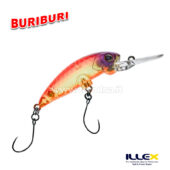 Illex BuriBuri