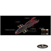 Bait Breath Bys Shrimp