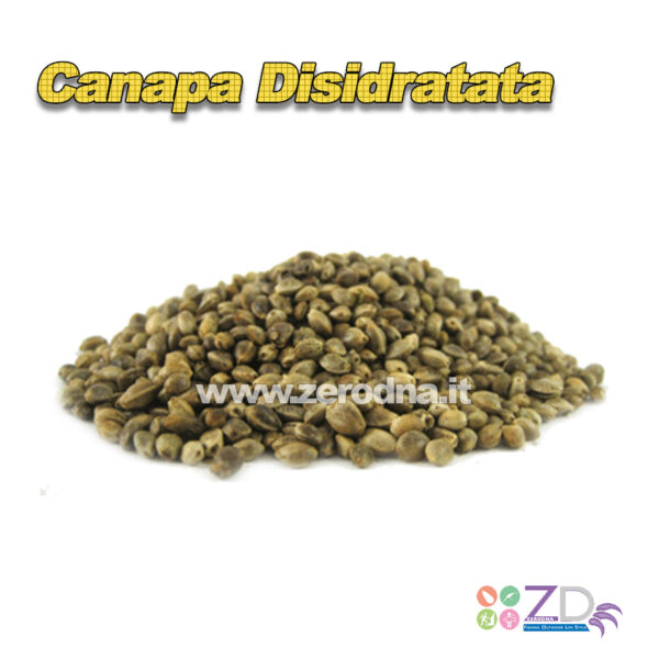 Canapa Secca