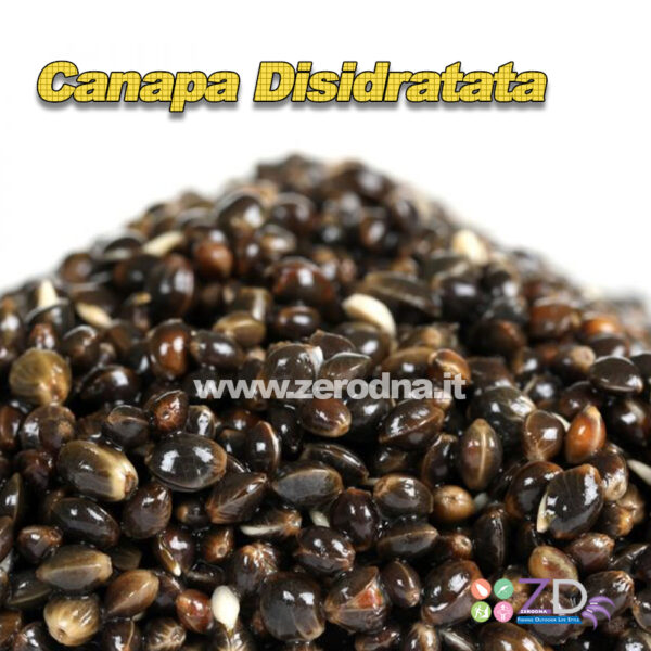 Canapa Secca
