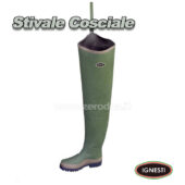 Ignesti Stivale Cosciale