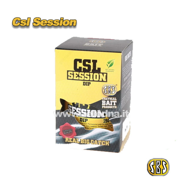Sbs Csl Session Dip