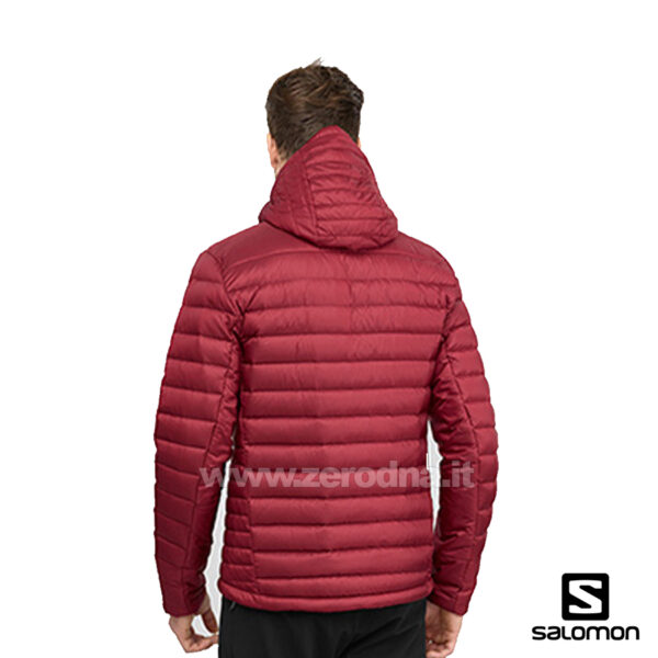Salomon Haloes Down Hoodie M