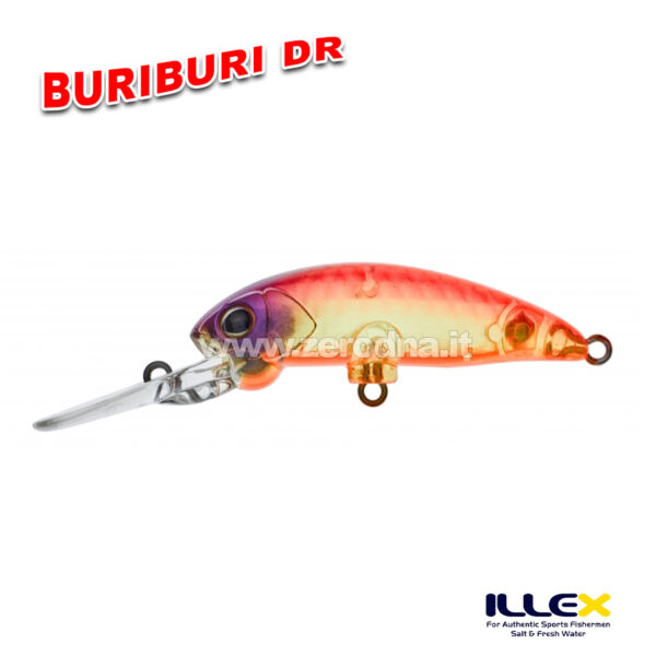 Illex BuriBuri