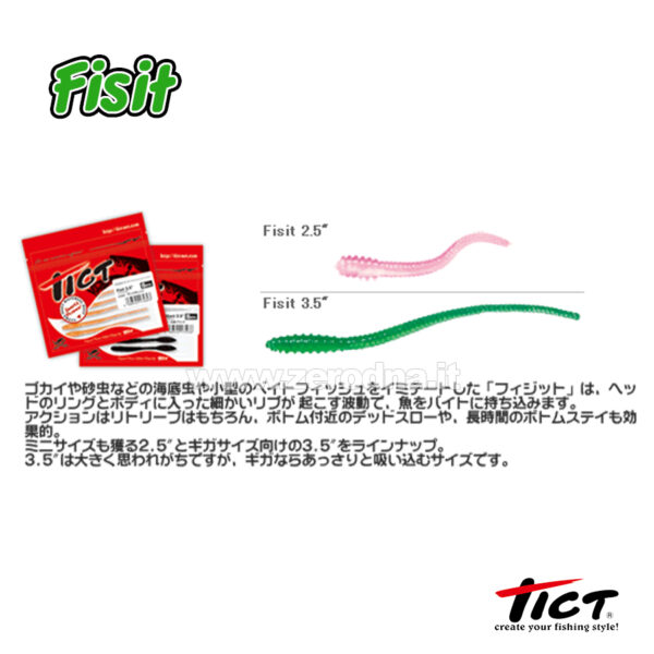 Tict Fisit