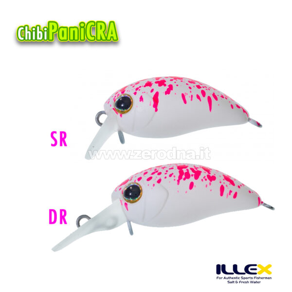 Illex Chibi Panicra