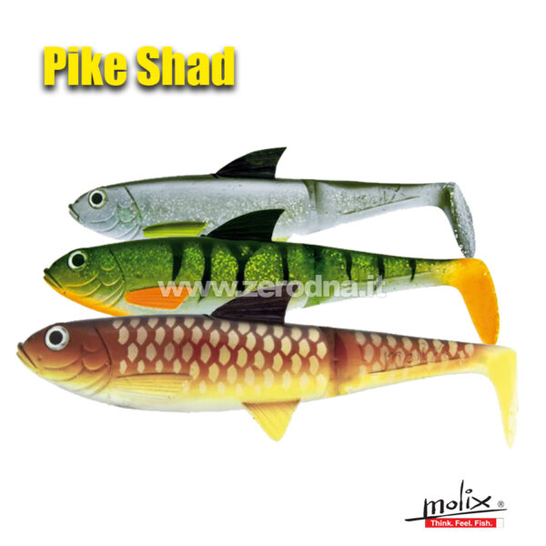 Molix Pike Shad