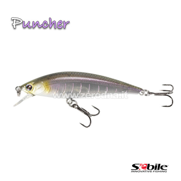 Sebile Puncher