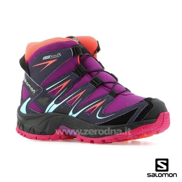 Salomon Xa Pro 3D Mid Cswp
