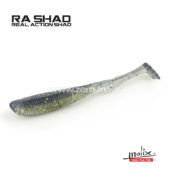 Molix Ra Shad