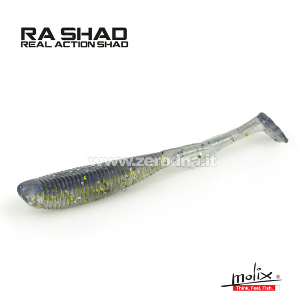 Molix Ra Shad