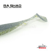 Molix Ra Shad