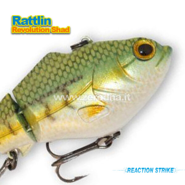 Reaction Strike Revolution Shad Rattlin