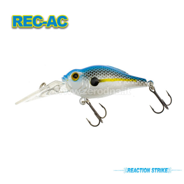 Reaction Strike AC-55