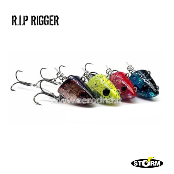 Storm R.I.P. Rigger