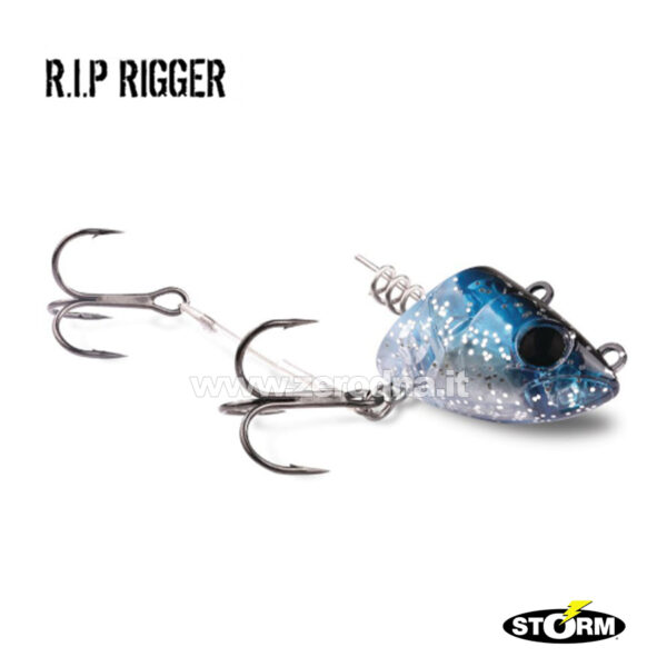 Storm R.I.P. Rigger