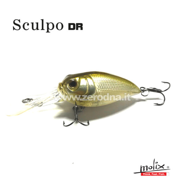 Molix Sculpo Crank