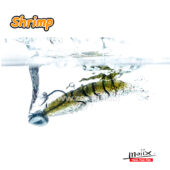 Molix Shrimp