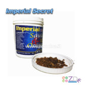 Imperial Secret Squid Octopus