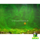 The Goo