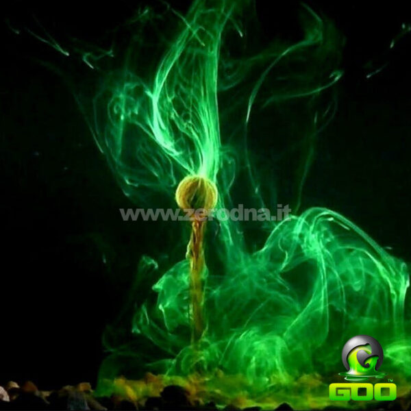 The Goo