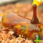 The Goo