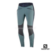 Salomon Wayfarer As Tight W