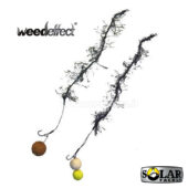 Solar Weed Effect Ultimate Camouflage